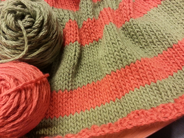 Seed Border Striped Blanket