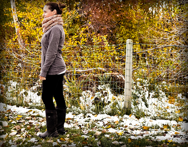 Winter Winds Cowl