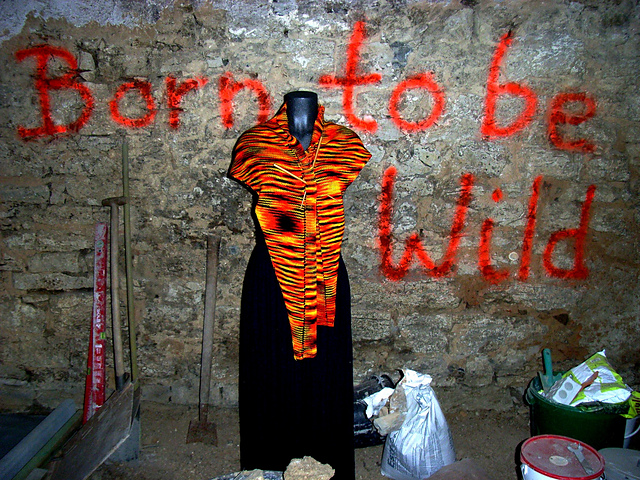 Born to be wild!