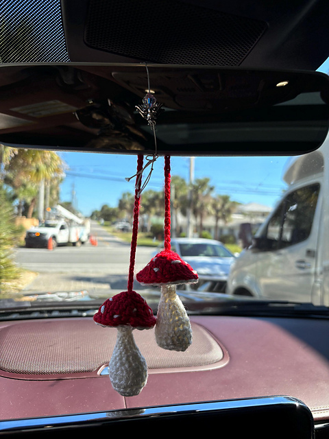 Mushroom car mirror hanging