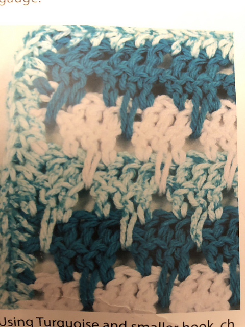 Spike Dishcloth