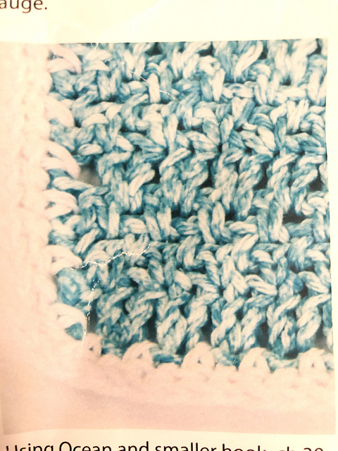 Splash Dishcloth