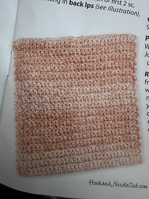 Ribbed Stitch Dishcloth (crochet)