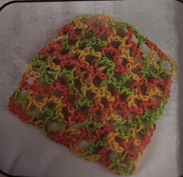 Mesh Wash Cloth