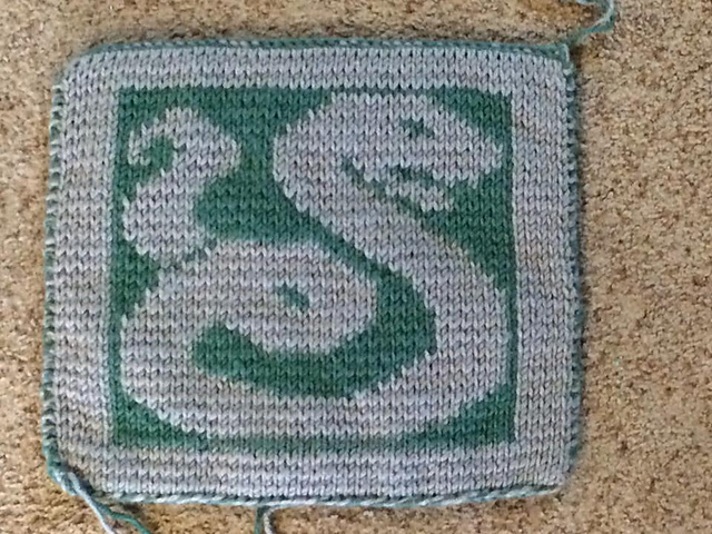 Snake Washcloth