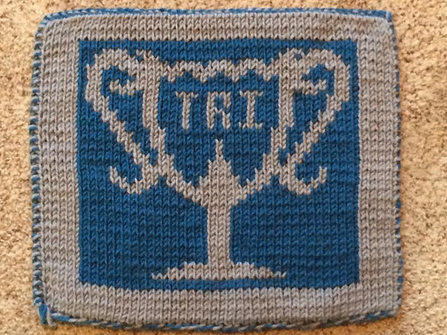 Tri-Wizard Cup Washcloth