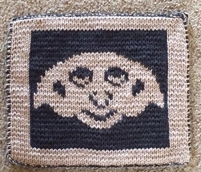 Dobby Washcloth
