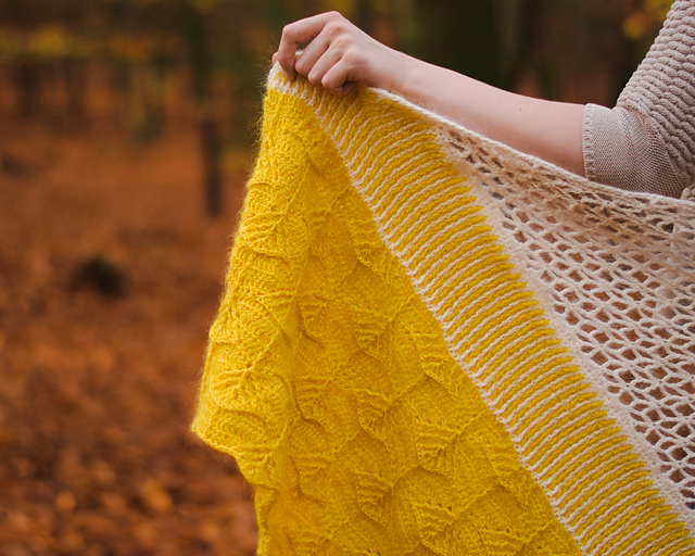Mexican Gothic Shawl