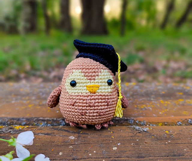 Graduation owl