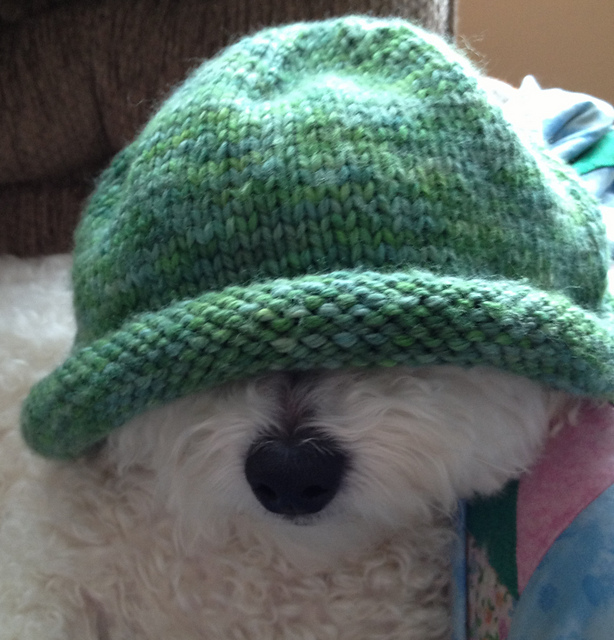 Bulky Rolled Brim Hat