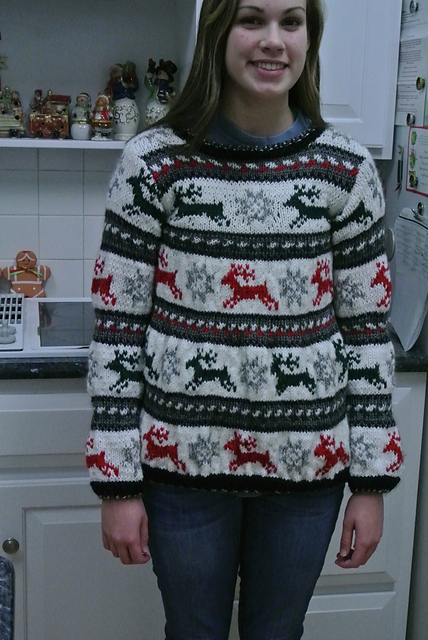 #14 Reindeer pullover