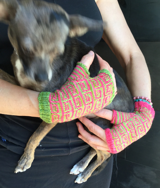 Smitten & Bitten Mitts