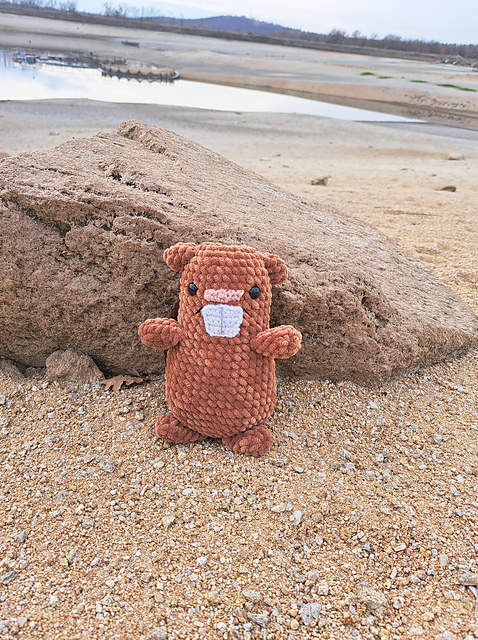 Bob the beaver