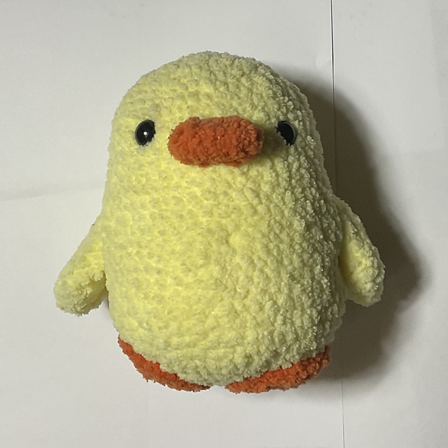 Fluffy duck