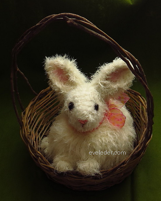 Honey Bunny