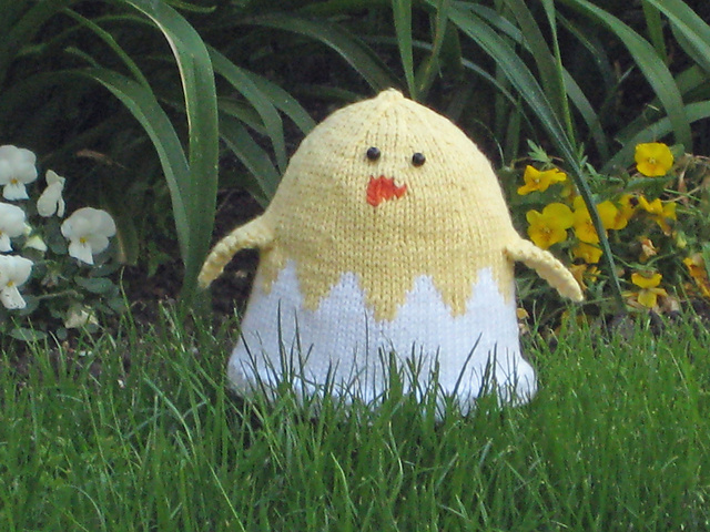 Chickie Bird Hat