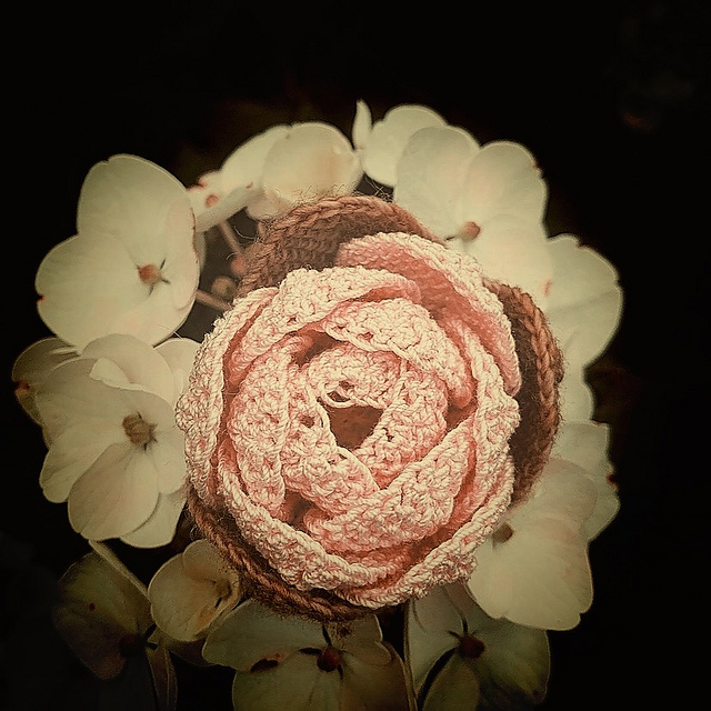 Ravelry: Peony pattern by Yarn hyperdrive