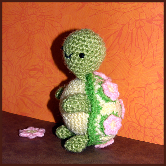 Lily Turtle