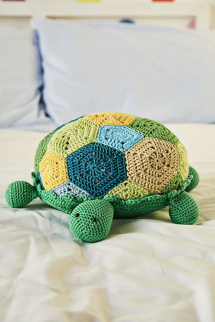 Terry the Turtle