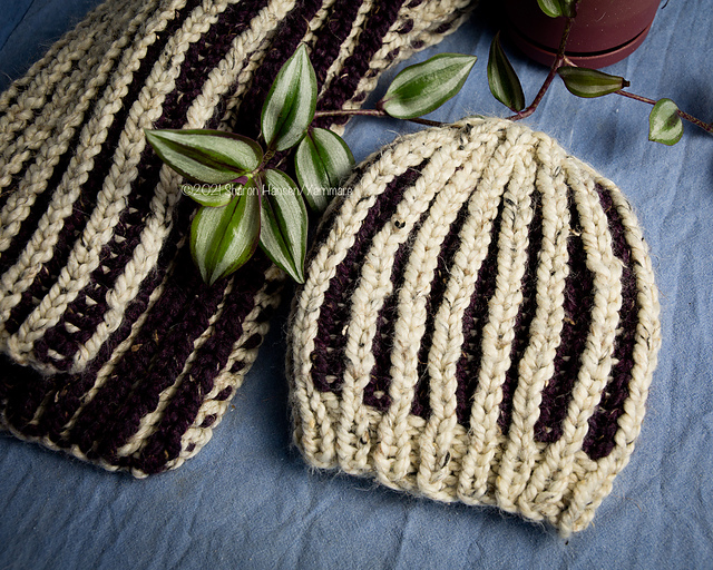 Oatmeal and Raisin Beanie