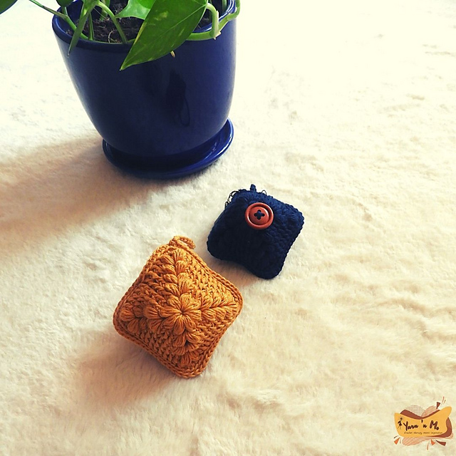 Harmony Earphone Case