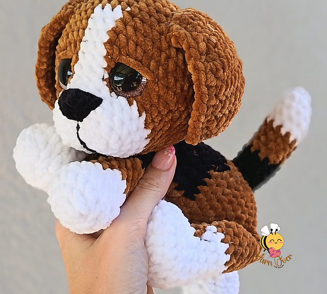 Cooper the Beagle