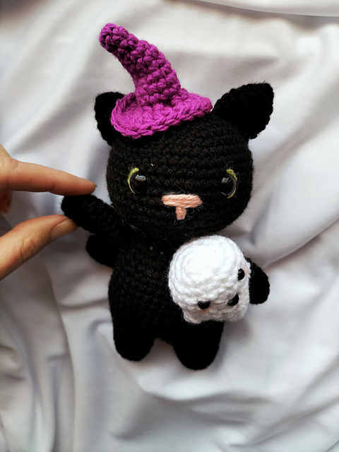 The witches cat