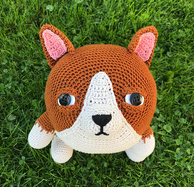 Cory the Corgi