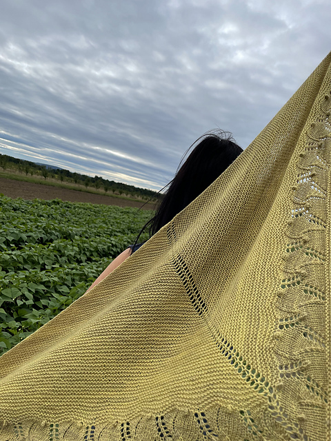 Northvale Shawl