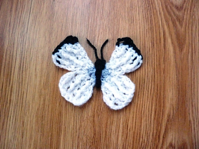Large White Butterfly