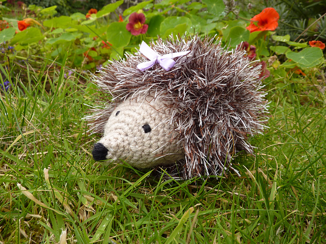 Heidi Hedgehog