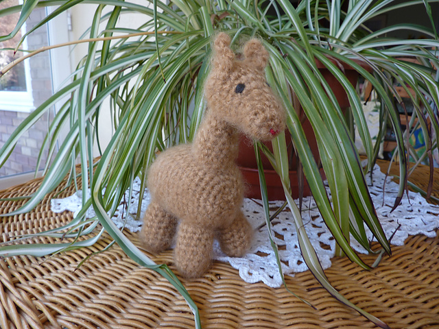 Lionel Llama 