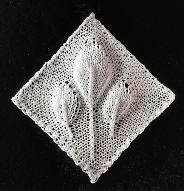 Baby Bay Leaves Square