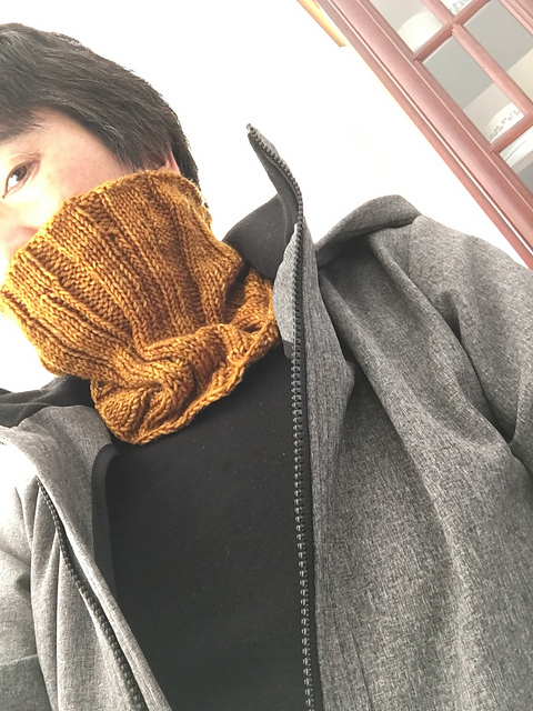 Cowl of Assassins (S.P. Cormac)