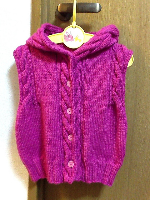 Kids' Hooded Vest キッズフード付きベスト
