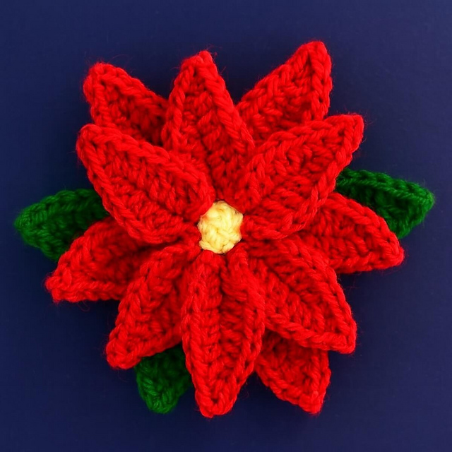 Poinsettia Flower