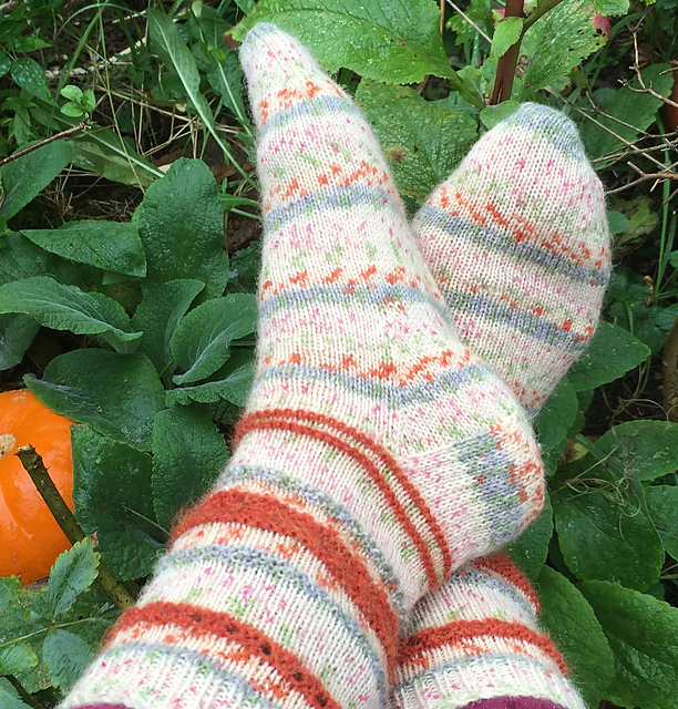 October Pumpkin Garden Socks