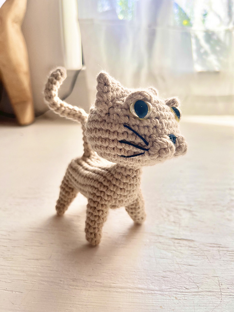 A Cat called Polly the Dolly.