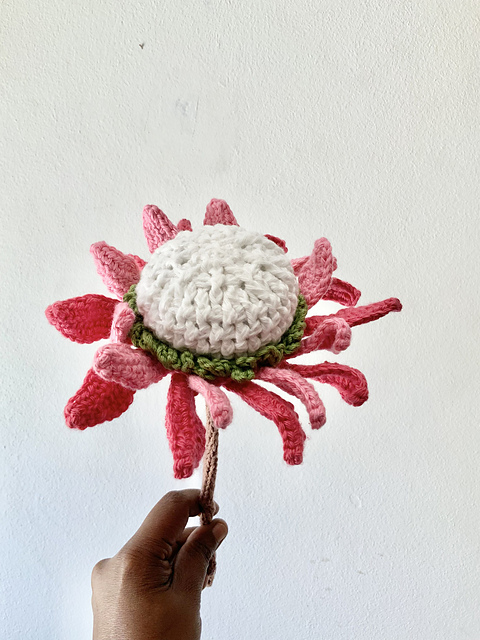 King Protea
