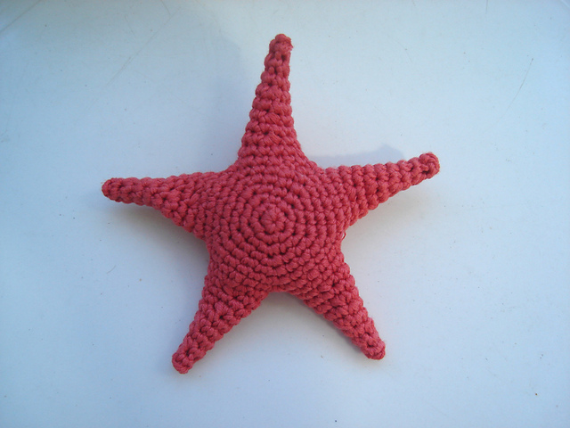 Stella the starfish