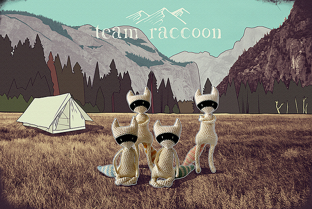 Team raccoon