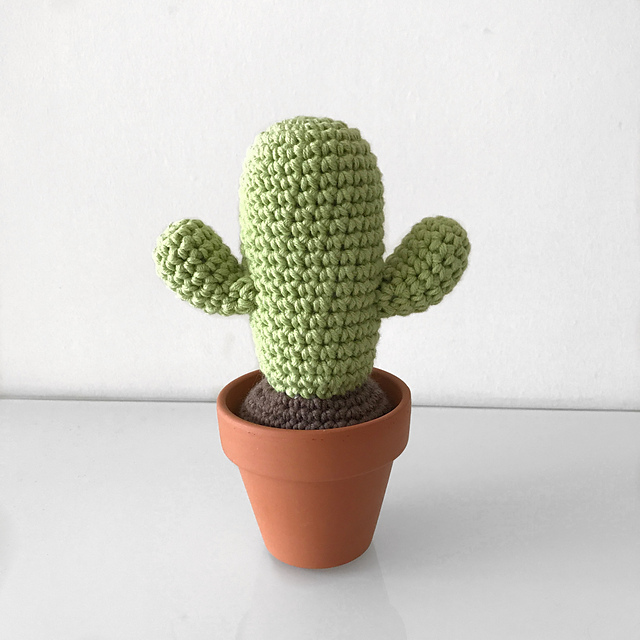 Mini Desert Cactus