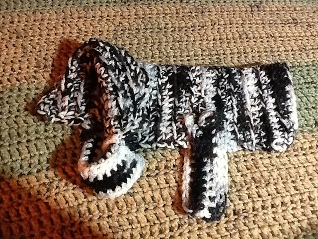 Dog Coat