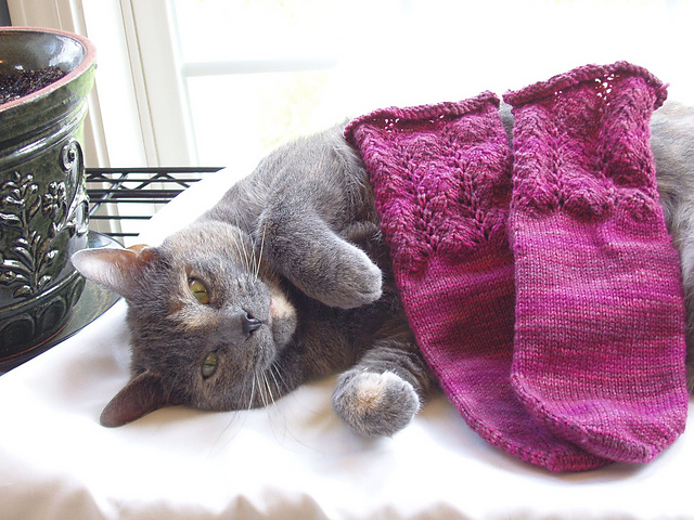 Vine Lace Socks